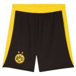 Pantalones Borussia Dortmund 1ª 25-26