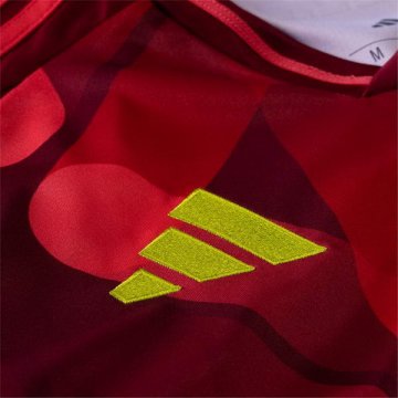 Camiseta Alemania 2ª Euro 2025