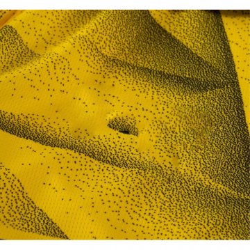 Camiseta Borussia Dortmund Cup 23-24