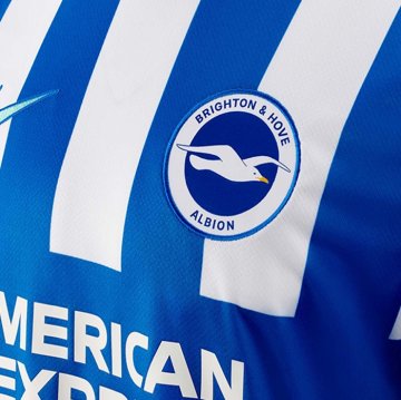 Camiseta Brighton & Hove Albion 1ª 25-26