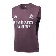 Camiseta de Entrenamiento Real Madrid Sin Mangas 25-26 Gris Purpura