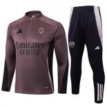 Chandal de Sudadera del Arsenal 24-25 Gris Purpura