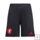 Pantalones Liverpool 2ª 25-26