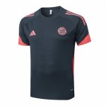 Camiseta de Entrenamiento Bayern Munich 25-26 Gris Oscuro