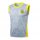 Camiseta de Entrenamiento Borussia Dortmund Sin Mangas 25-26 Gris
