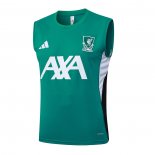Camiseta de Entrenamiento Tottenham Hotspur Sin Mangas 25-26 Verde