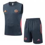 Chandal del Bayern Munich Sin Mangas 25-26 Gris Oscuro