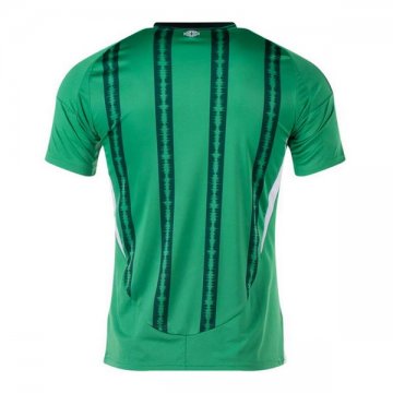 Camiseta Irlanda del Norte 1ª 2024