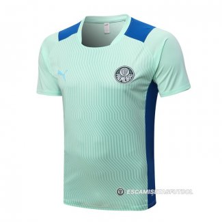 Camiseta de Entrenamiento Palmeiras 22-23 Verde