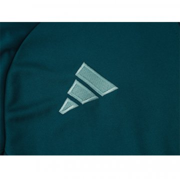 Chandal de Chaqueta del Cruzeiro 2024-25 Verde