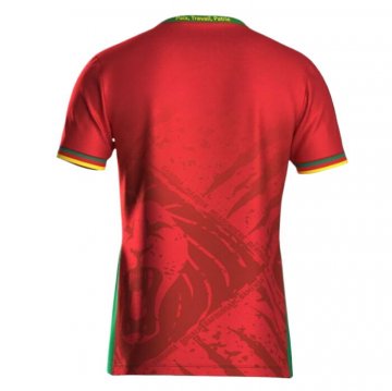 Camiseta Camerun 2ª 2025