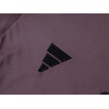 Camiseta de Entrenamiento Arsenal 24-25 Gris Purpura