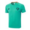 Camiseta de Entrenamiento Fluminense 25-26 Verde Camiseta de Entrenamiento Fluminense 25-26 Verde