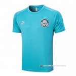 Camiseta de Entrenamiento Palmeiras 23-24 Verde