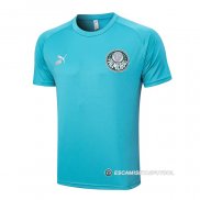 Camiseta de Entrenamiento Palmeiras 23-24 Verde