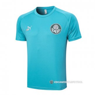Camiseta de Entrenamiento Palmeiras 23-24 Verde