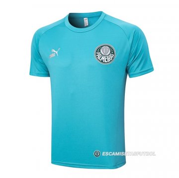 Camiseta de Entrenamiento Palmeiras 23-24 Verde