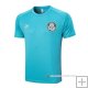Camiseta de Entrenamiento Palmeiras 23-24 Verde