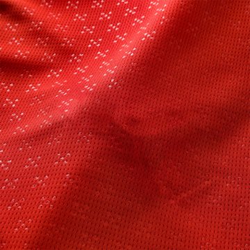 Camiseta Portugal 1ª Manga Larga 2025