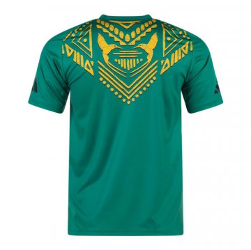 Camiseta Pre Partido del Jamaica 2024 Verde