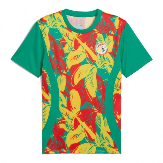 Camiseta Pre Partido del Senegal 2024 Verde - Haga un click en la imagen para cerrar