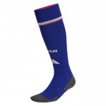 Calcetines Japon 1ª 2026