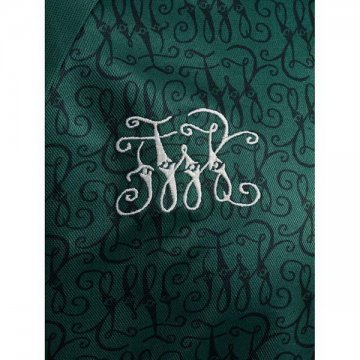 Camiseta Werder Bremen Anniversary 23-24