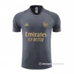 Camiseta de Entrenamiento Arsenal 23-24 Gris
