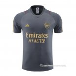 Camiseta de Entrenamiento Arsenal 23-24 Gris