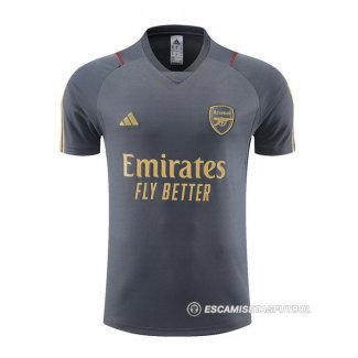 Camiseta de Entrenamiento Arsenal 23-24 Gris