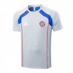 Camiseta de Entrenamiento Bayern Munich 25-26 Gris