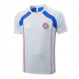 Camiseta de Entrenamiento Bayern Munich 25-26 Gris