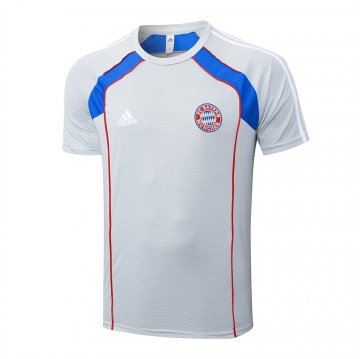 Camiseta de Entrenamiento Bayern Munich 25-26 Gris