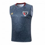 Camiseta de Entrenamiento Sao Paulo Sin Mangas 25-26 Gris