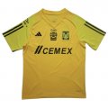 Camiseta de Entrenamiento Tigres UANL 23-24 Amarillo