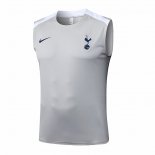 Camiseta de Entrenamiento Tottenham Hotspur Sin Mangas 25-26 Gris