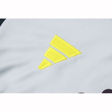 Chandal de Sudadera del Benfica 24-25 Gris