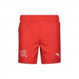 Pantalones Suiza 1ª 2026