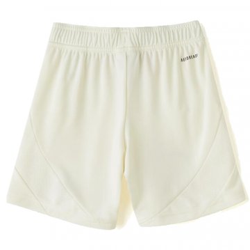 Camiseta Lyon 3ª Nino 24-25