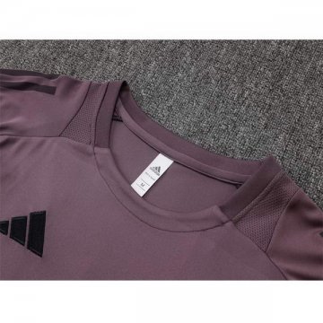 Camiseta de Entrenamiento Arsenal 24-25 Gris Purpura