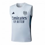 Camiseta de Entrenamiento Arsenal Sin Mangas 25-26 Gris