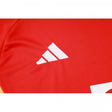 Camiseta de Entrenamiento Bayern Munich 2024-25 Rojo