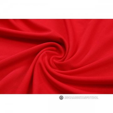 Camiseta Polo del Ajax 22-23 Rojo