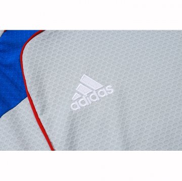 Camiseta de Entrenamiento Bayern Munich 25-26 Gris