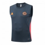 Camiseta de Entrenamiento Bayern Munich Sin Mangas 25-26 Gris Oscuro