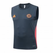 Camiseta de Entrenamiento Bayern Munich Sin Mangas 25-26 Gris Oscuro
