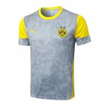 Camiseta de Entrenamiento Borussia Dortmund 25-26 Gris