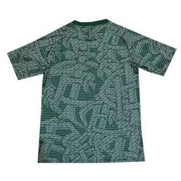 Camiseta de Entrenamiento Fluminense 24-25 Verde