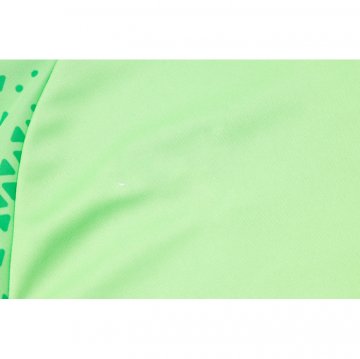 Chandal de Sudadera del Palmeiras 2024-25 Verde