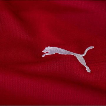 Tailandia Camiseta Serbia 1ª 2024